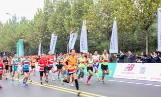 枣庄国际马拉松比赛对部分道路采取临时交通管制措施的通告