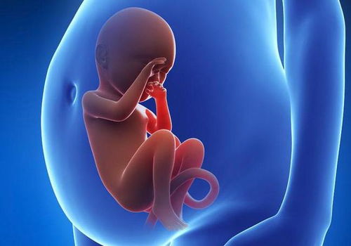胎盘偏低怎么办 对胎儿的影响大不大 听听医生怎么讲解