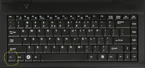 怎么锁定笔记本电脑键盘(怎么锁定笔记本电脑键盘为中文)