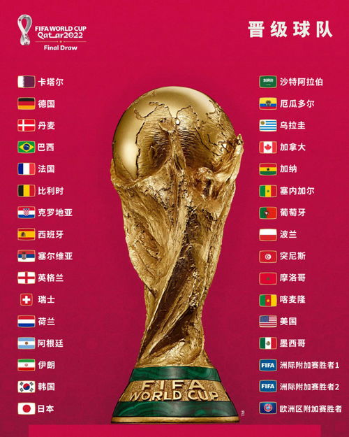 巴西 卡塔尔等8队成世界杯种子队,4月2日0时小组抽签