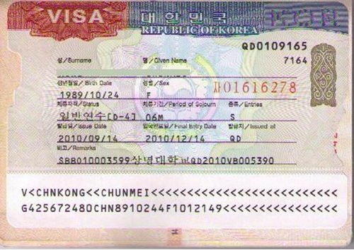 2022年6月韩国旅游签证(最新韩国旅游签证政策)