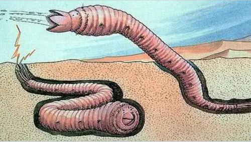 科学未解之谜 当年蒙古死亡蠕虫,戈壁中的未知生物,真的存在吗