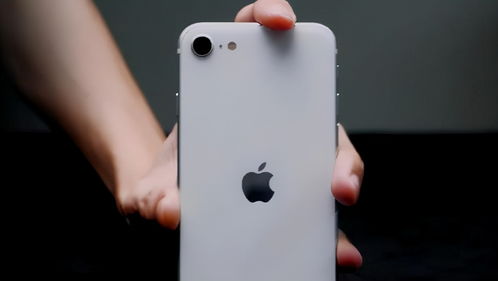 iPhone 14 刘海再见,各位久等了 苹果 明年要卖3亿台手机