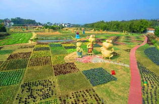 从化一座 可以吃 的神奇公园,成为人们春节争先游览的盛地 西塘童话小镇 