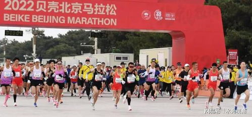 2022北京马拉松比赛现场,我们看到了新冠终于臣服于人类的希望