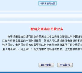 黑龙江省交通违章网上缴费系统入口