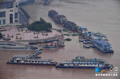 重庆主城洪水退水预计用时将超过两天