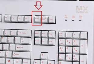 键盘上的截图键是哪个,怎么使用 