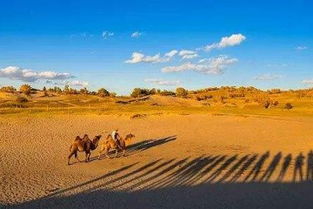巴丹吉林沙漠沙漠旅游接待方案