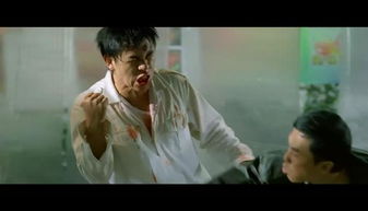 12年前,甄子丹这部电影告诉小鲜肉,什么才是真打实斗拳拳到肉