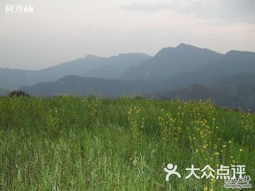老虎头森林公园 虎背草原图片 平山县周边游 
