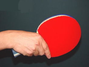乒乓球拍直拍 横拍是什么意思 怎样拿 