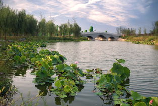 西安浐灞国家湿地公园开放时间(西安浐灞国家湿地公园攻略)
