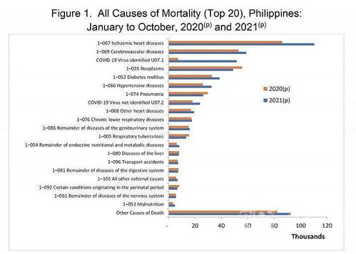 菲律宾统计局公布菲人十大死因