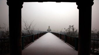 北京最恐怖游乐园,被称为中国真实版寂静岭,废弃了20年