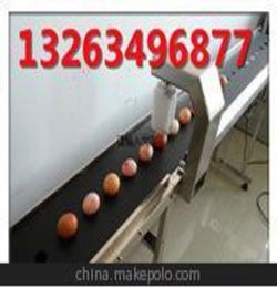 北京单排鸡蛋喷码机,鸡蛋喷码机生产线,单排鸡蛋喷码机价格