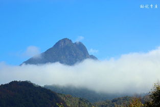 五指山上云雾绕 漫步热带雨林