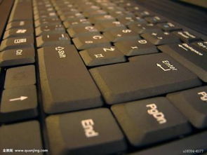 笔记本电脑的键盘为什么打不出字 只能是字母旁边的数字 