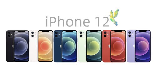 2021双十一iPhone 12 了解一下 上市信息 优势和不足 适用人群和购买建议 iPhone12价格趋势 产品信息 参数 跑分 性能发热 电池续航 充电 外观和外景图片 专业的测评视频推荐 