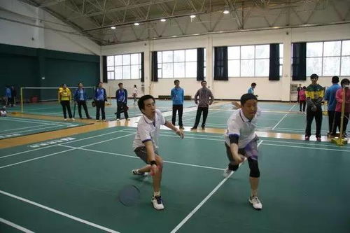 羽毛球是竞技项目,同时也是高雅运动 羽毛球的素养应当如何培养 比赛 