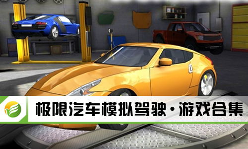 极限汽车模拟驾驶游戏完美版 极限汽车模拟驾驶中文版 破解版 无限金币钻石版下载 