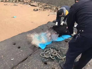 厦门滨海海岸发现一女尸,死亡原因让人崩溃 