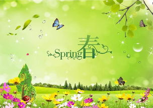 描写春美丽的春天的语句(描写春天美丽的短句)