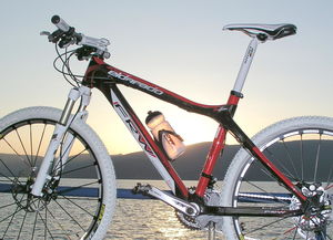 进口中国自行车十大名牌FRW辐轮王析北斗助力共享单车运营