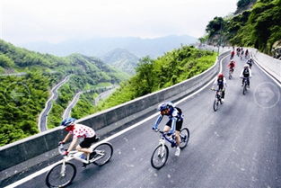 杭州又一条高颜值森林步道首期开放 10月底全线竣工 