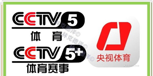 全运会女排成年组今天第二个比赛日,央视选择两场直播 CCTV5 直播浙江vs江苏