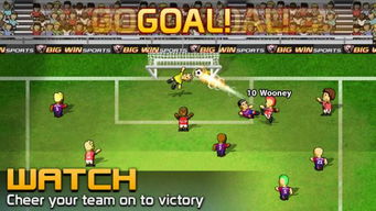 足球大赢家电脑版下载 足球大赢家PC版下载 