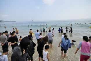 深圳掠影 超广下的大梅沙海滨公园 沙滩 海滨