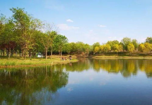 北京春天最不能错过这个湿地公园,您终于知道踏青赏花该去哪儿了
