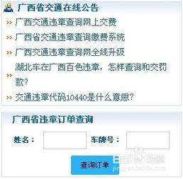 广西车在异地 广东 的违章查询平台 