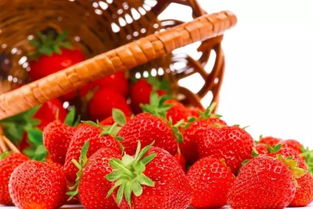 摘草莓咯,扬州这些地方的草莓又大又甜 有些还能边吃边玩一整天 