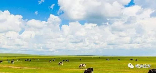 去内蒙古旅游,什么时候去风景最美最好玩 