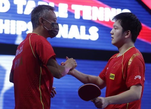 樊振东离大满贯还差什么冠军 世乒赛为啥没有三 四名的争夺