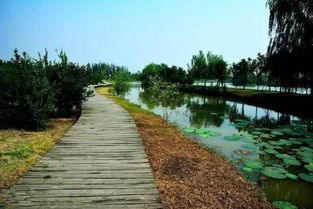 浐灞湿地公园属于哪个区西安浐灞国家湿地公园路线图(浐灞湿地公园的介绍)