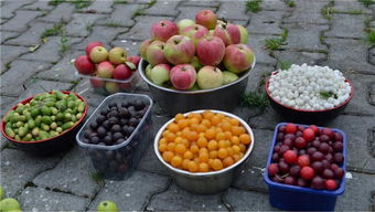 5种东北特产水果,出了东北就吃不到了,很多人一个都没吃过 