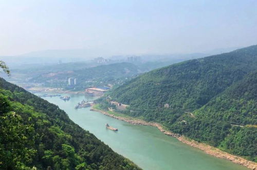 重庆被 忽略 的景区,主城东部的绿色屏障,被称为中国森林氧吧