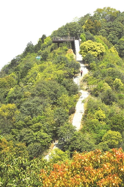 湘湖旅游度假区西山游步道建成开放 