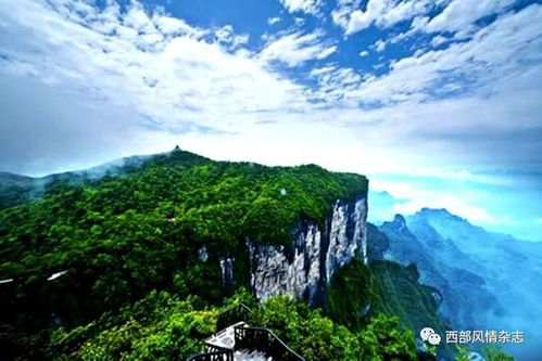 2019年 中国森林旅游十件大事 公布