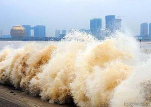 八月十八,钱塘江大潮 绍兴人可以去这些地方观潮 