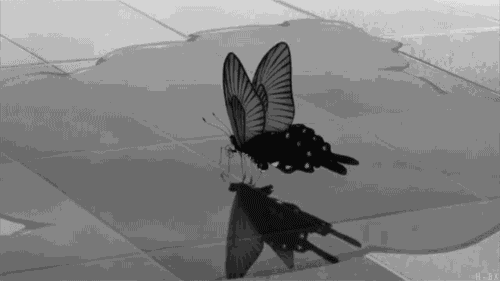 京城 视界 地标媒体大屏广告的 蝴蝶效应