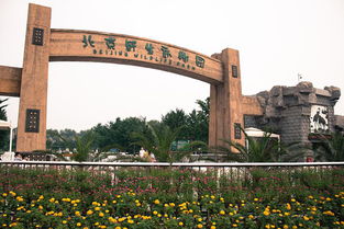 北京大兴野生动物园一日游 多种珍稀野生动物 龙网车 小火车