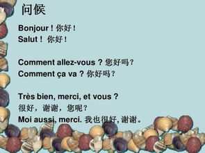 法语你好英语怎么说(法语你好,怎么说?)
