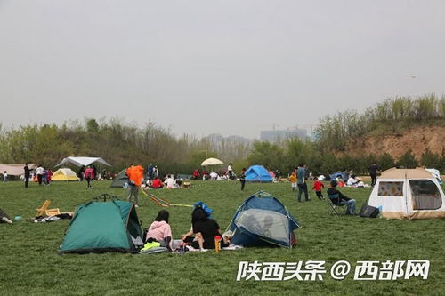 清明假期西安人不远游,家门口遗址公园搭帐篷度假,享受美好春光 