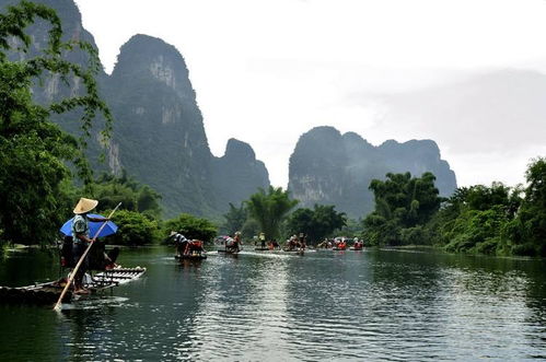 桂林当地旅行社导游推荐,桂林本地好评导游服务,桂林导游之家导游一对一服务