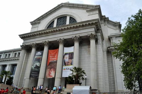世界最大博物馆群公开280万高清大图,包括洛神赋 二羊图