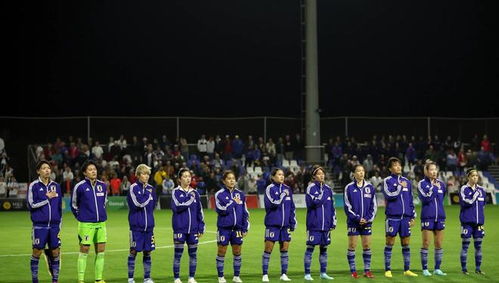 2023年女足世界杯32强赛C组 日本,仍在追逐荣耀